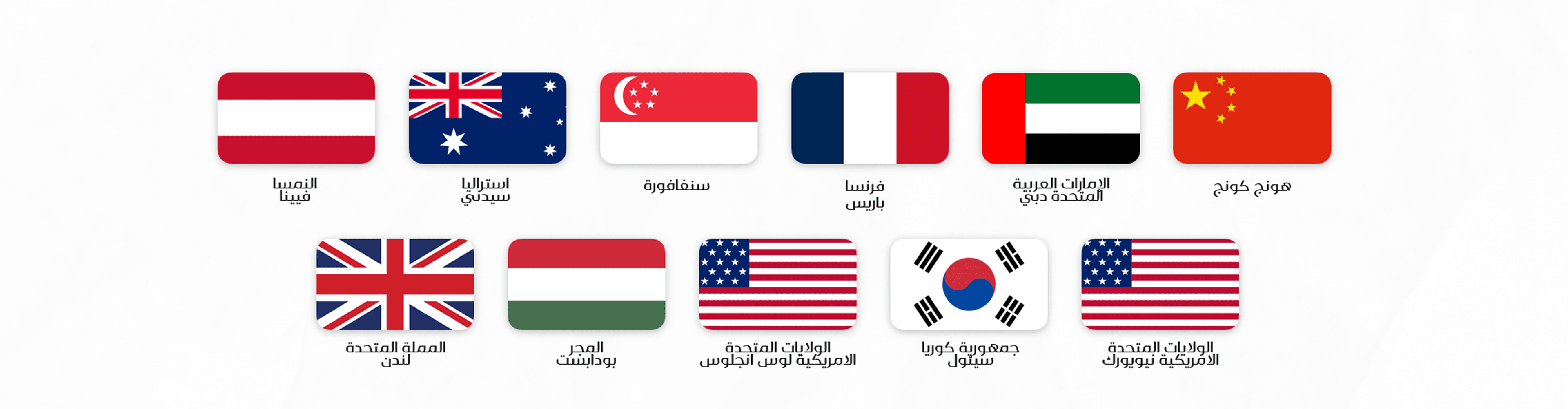 flags Icon